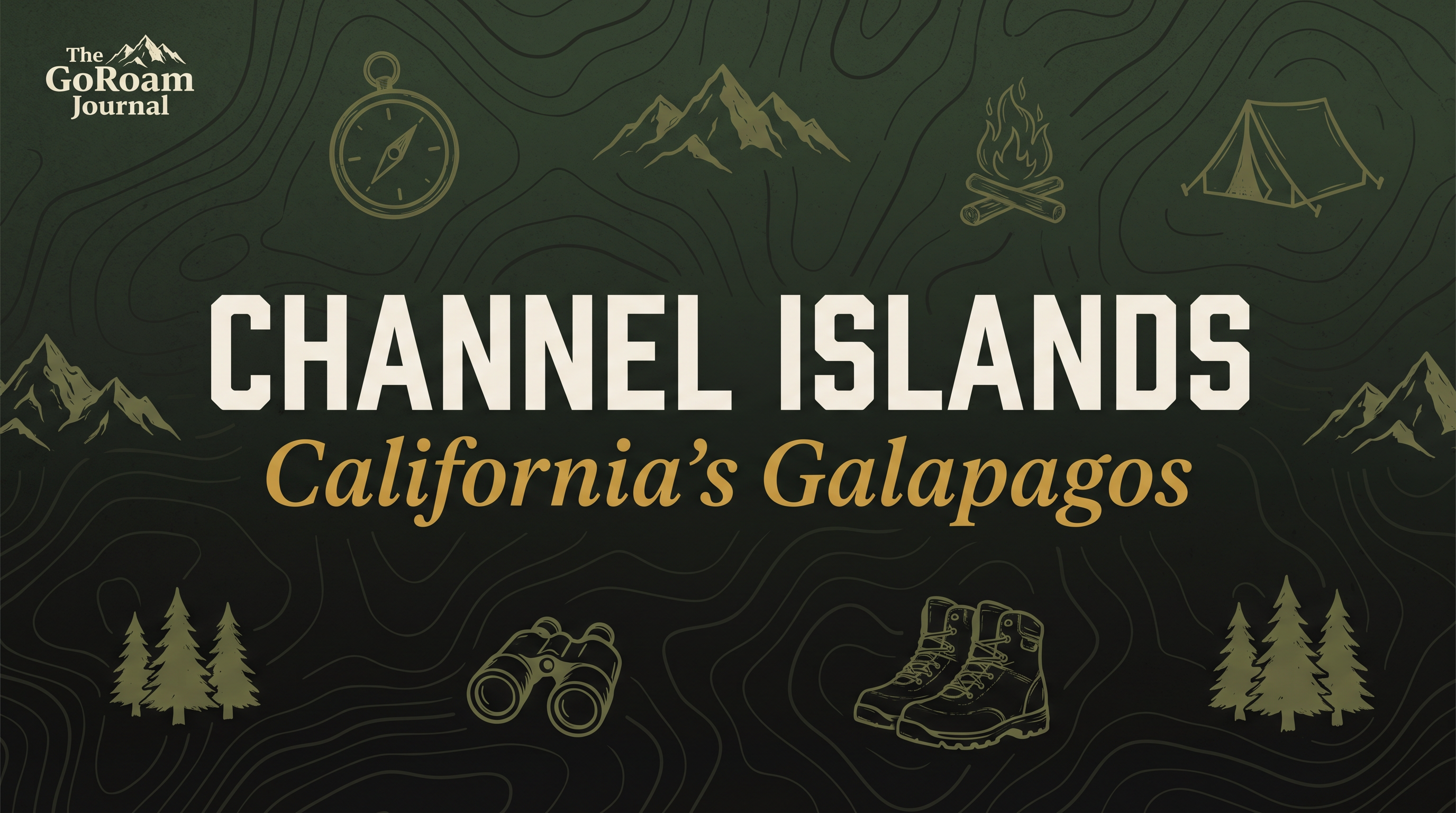 Channel Islands: California's Galapagos and How to Get There