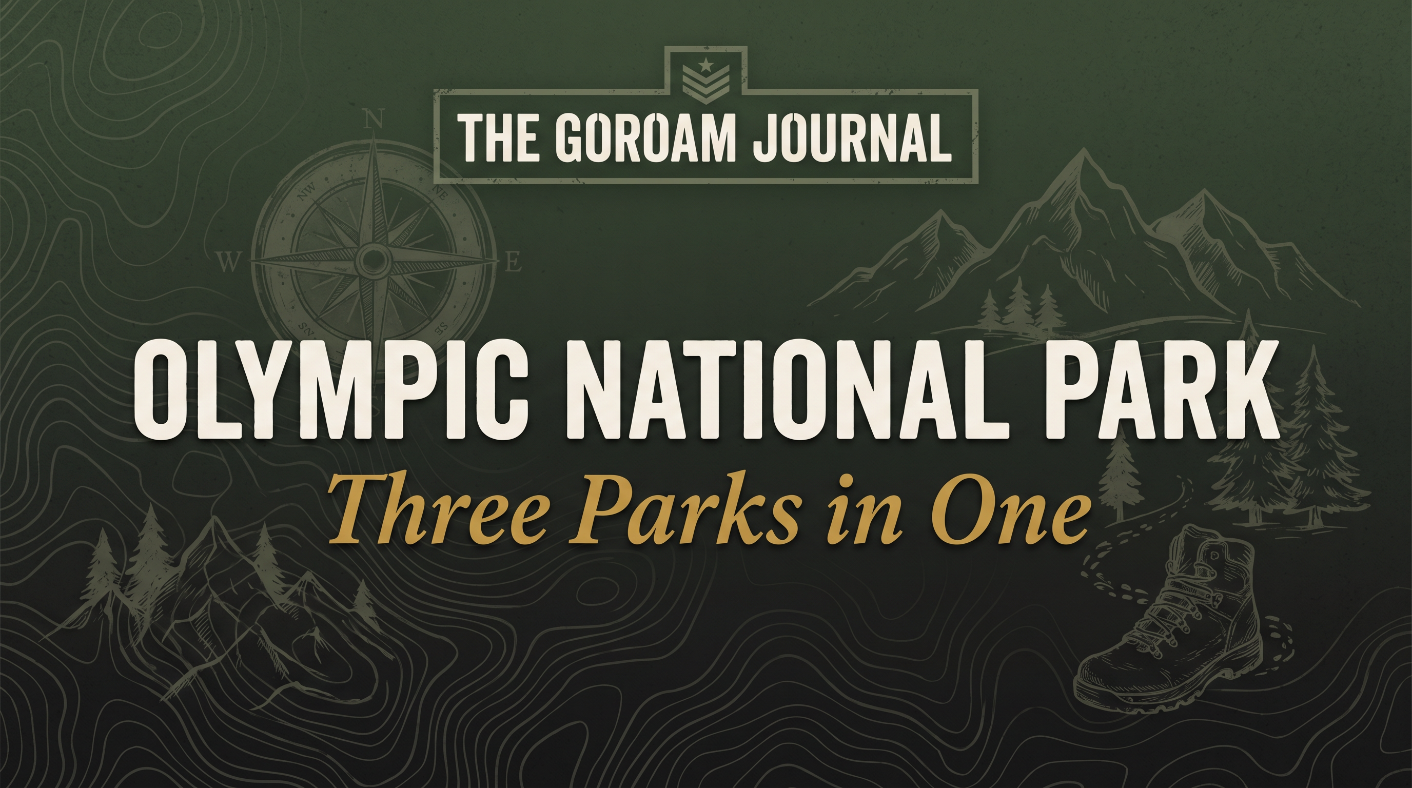 Olympic National Park: Three Parks in One (Rainforest, Coast, and Alpine)